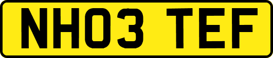 NH03TEF