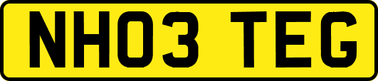 NH03TEG