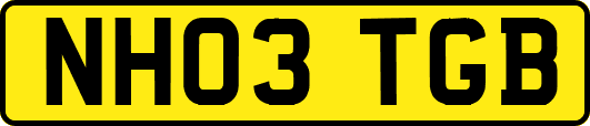 NH03TGB