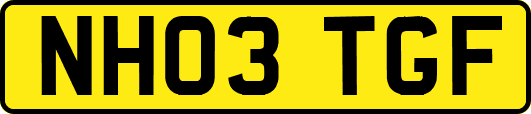 NH03TGF