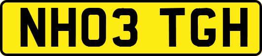 NH03TGH