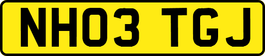 NH03TGJ