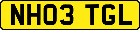 NH03TGL