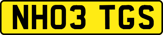 NH03TGS