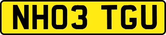 NH03TGU