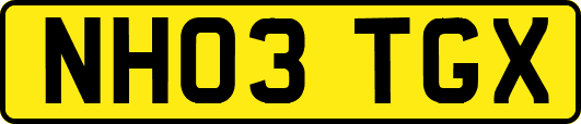 NH03TGX