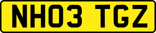 NH03TGZ