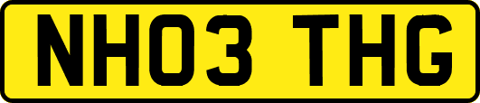 NH03THG
