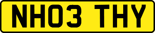 NH03THY