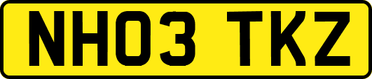 NH03TKZ