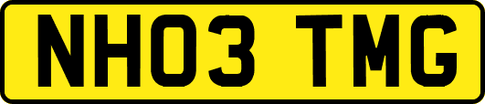 NH03TMG