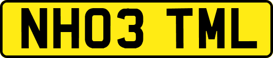 NH03TML