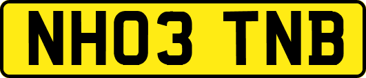 NH03TNB
