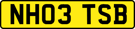NH03TSB