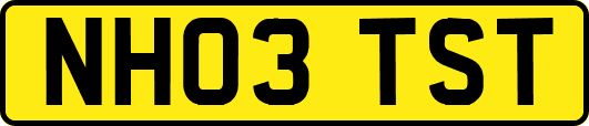 NH03TST