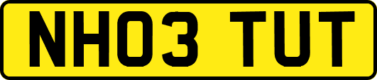 NH03TUT
