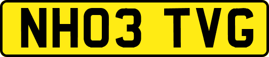 NH03TVG