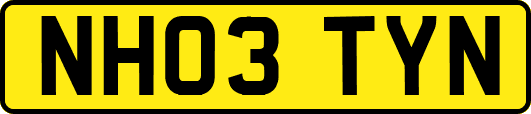 NH03TYN