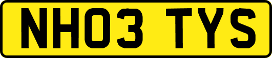 NH03TYS