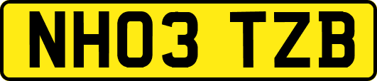 NH03TZB