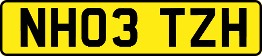 NH03TZH