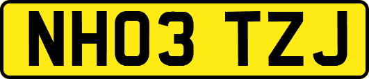 NH03TZJ