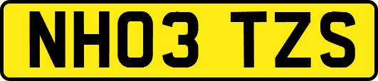 NH03TZS