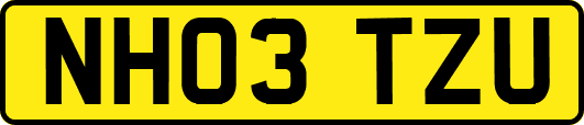NH03TZU