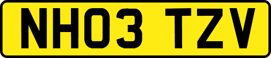 NH03TZV