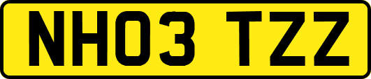NH03TZZ