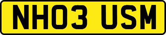 NH03USM