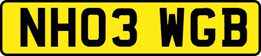 NH03WGB
