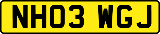 NH03WGJ