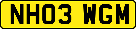 NH03WGM