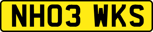 NH03WKS