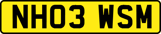 NH03WSM