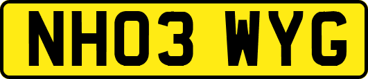 NH03WYG