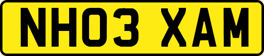 NH03XAM