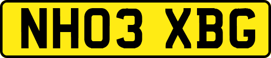 NH03XBG