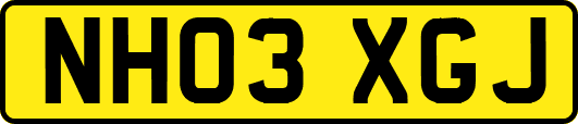 NH03XGJ