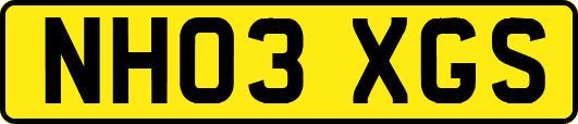 NH03XGS