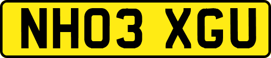 NH03XGU