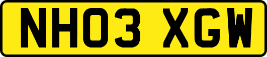 NH03XGW