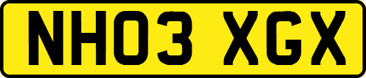 NH03XGX