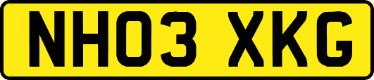 NH03XKG