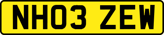 NH03ZEW