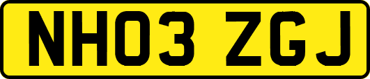 NH03ZGJ