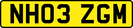 NH03ZGM