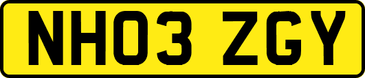 NH03ZGY