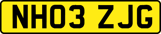 NH03ZJG